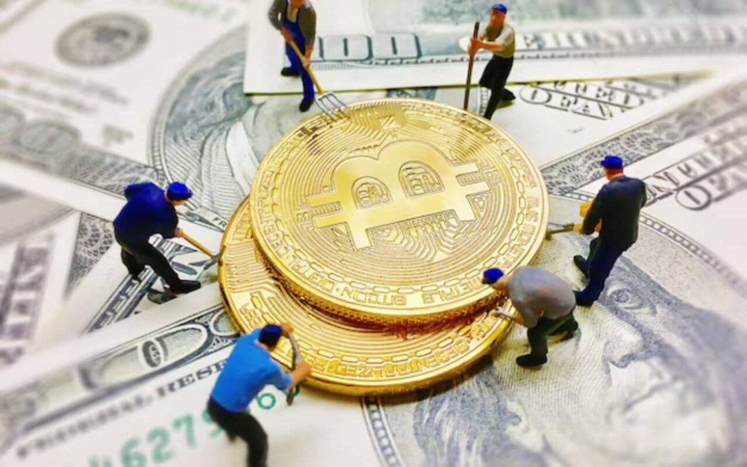 Crypto License