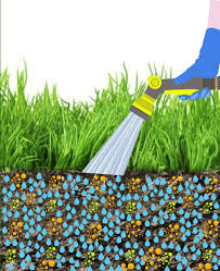 Lawn Liquid Aeration