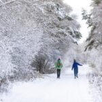 Snow and Severe Weather Warnings