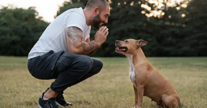 Positive Dog Training