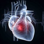 CARDIOLOGY Lifestyle and Prevention