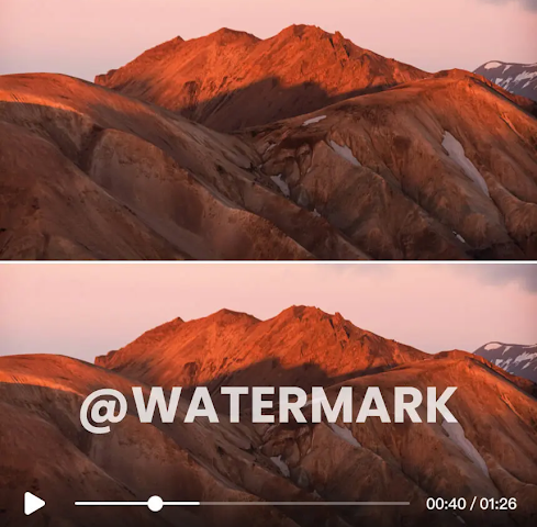 VideoWatermarkRemover.ai