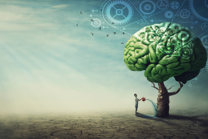 Cognitive